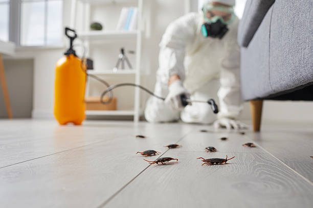 Trusted Cockroach Control service in Del Rey Oaks, CA - Nex Pest Control