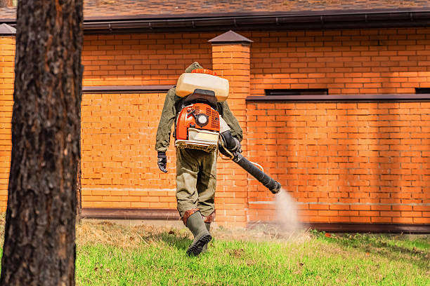 Trusted Bed Bug Control service in Del Rey Oaks, CA - Nex Pest Control